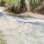 मुजफ्फरपुर में तिरहुत नहर का तटबंध टूटा, कई गांवों में बाढ़ का कहर, फसलों को भारी नुकसान।